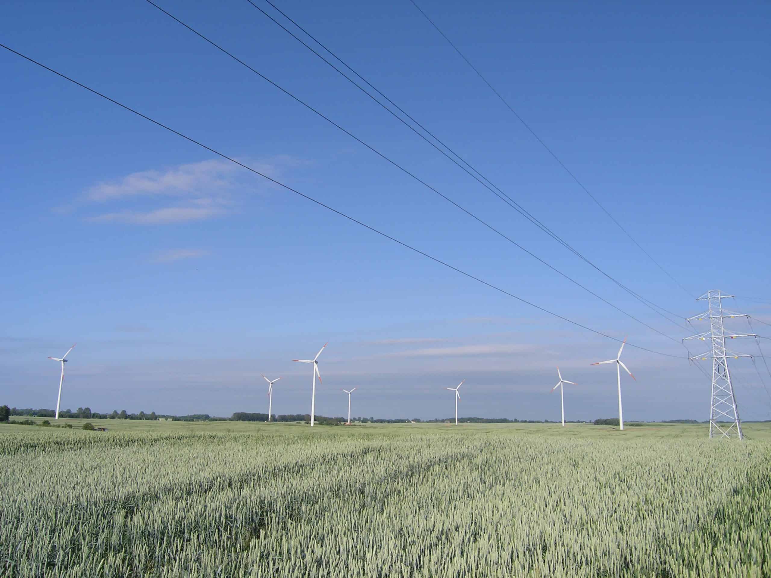 Wind park and distribution line