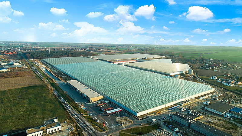 Huge greenhouses and fresh vegetables all year round